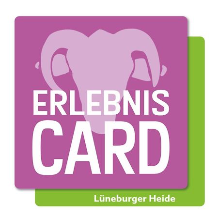 Ferienwohnung Koehler Bispingen Exteriör bild